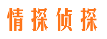 老城外遇出轨调查取证